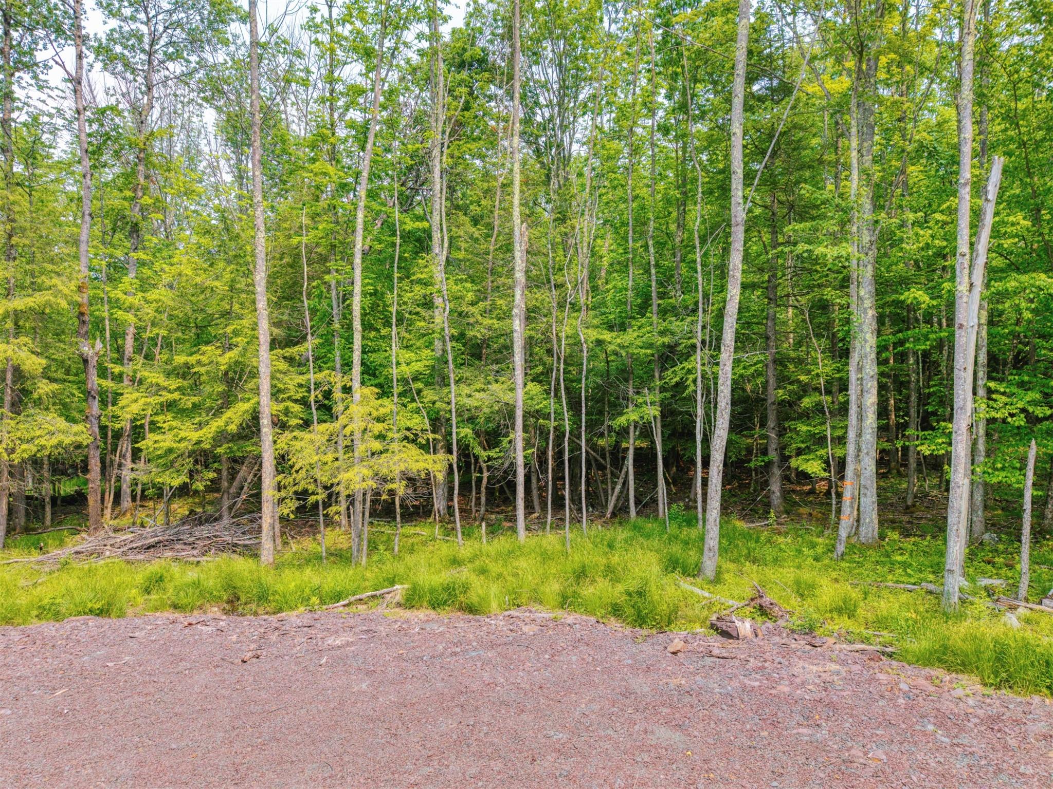 TBD Boulder Brook lot 13B Road, Windham, NY 12496