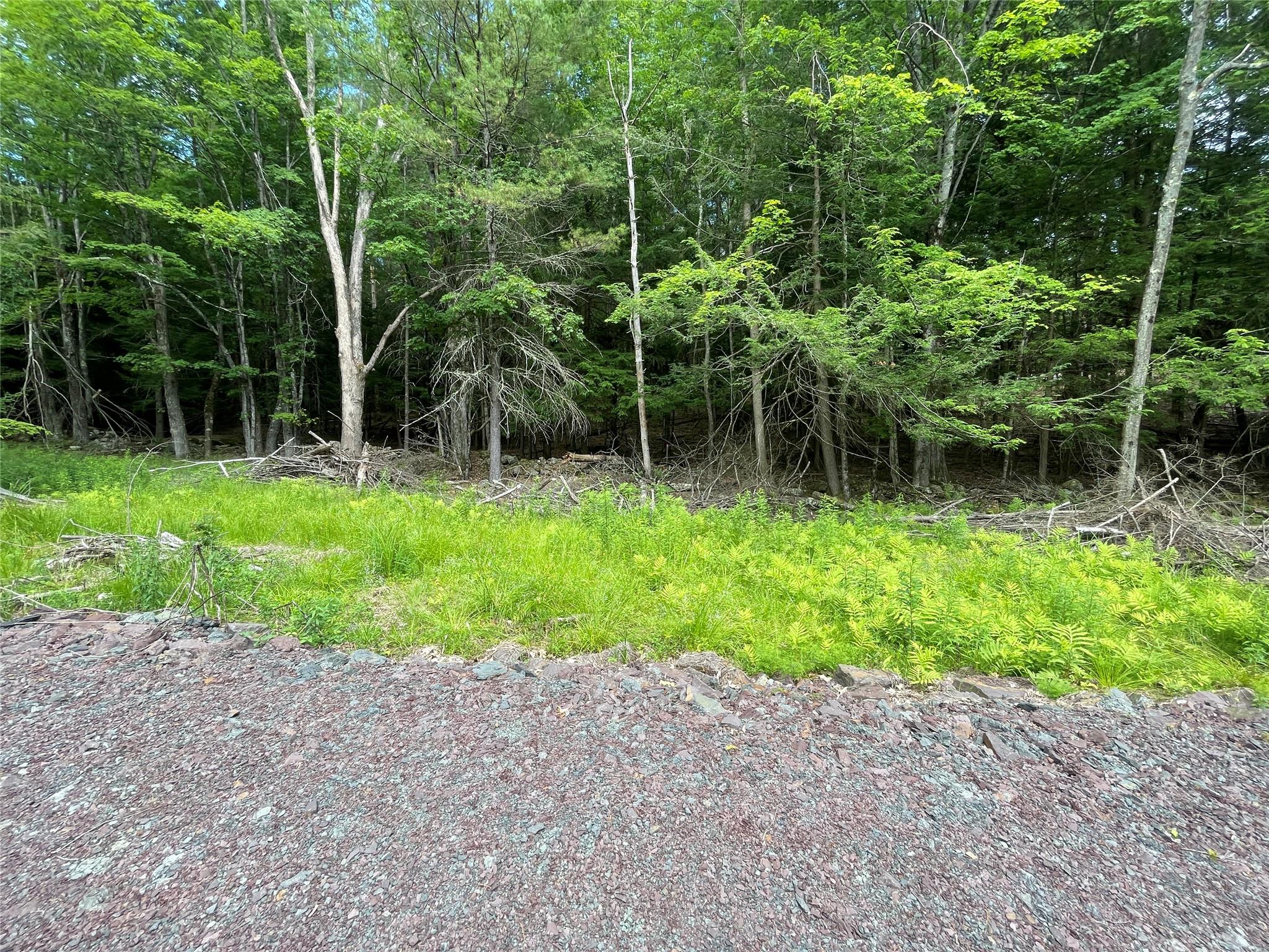 TBD Boulder Brook lot 13B Road, Windham, NY 12496
