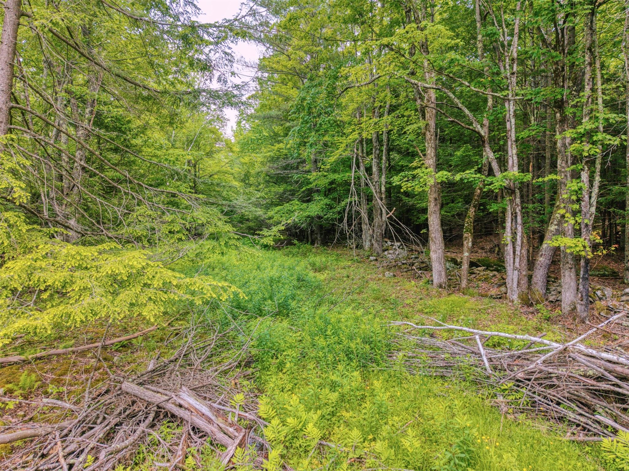TBD Boulder Brook lot 13B Road, Windham, NY 12496