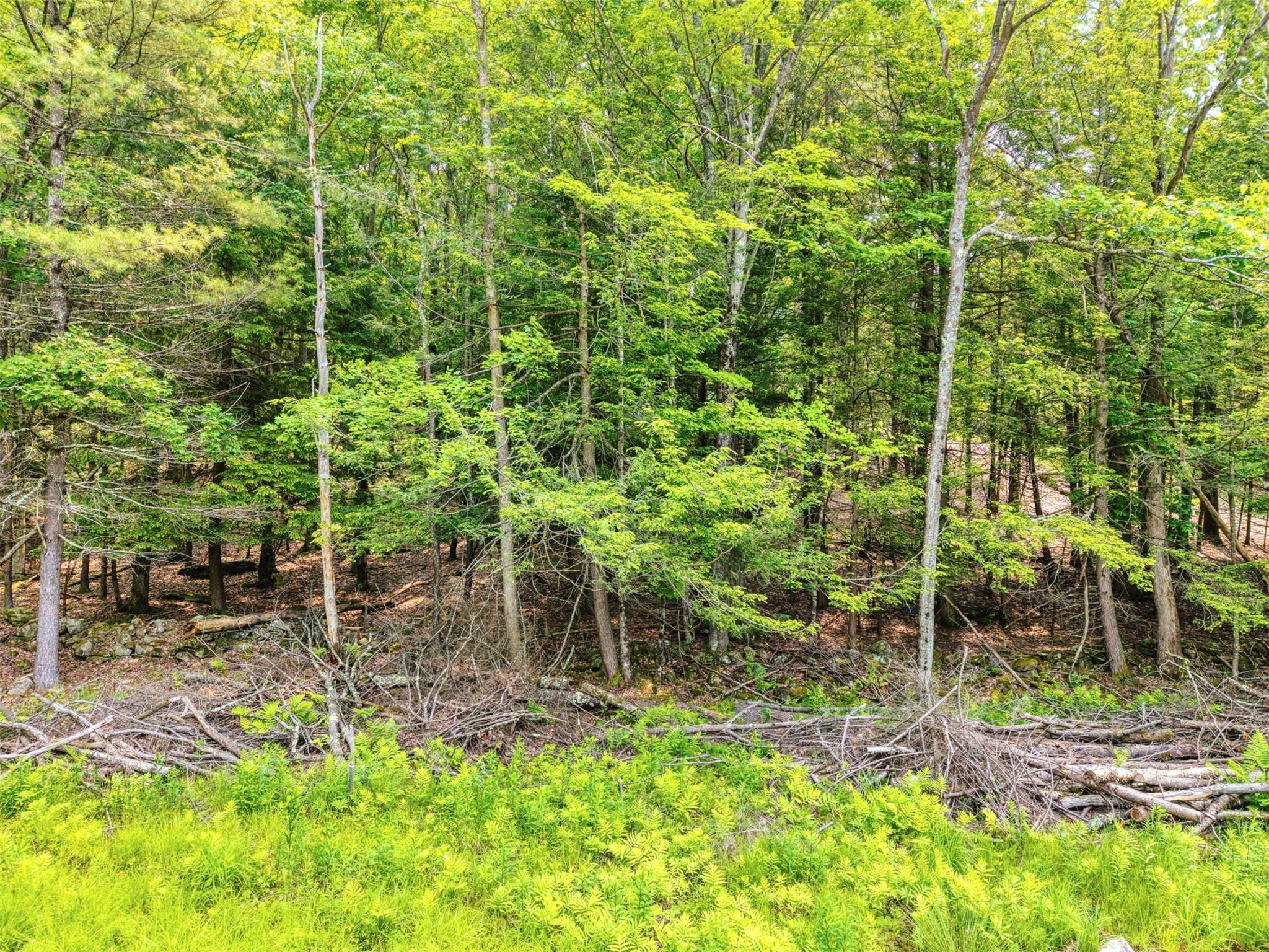 TBD Boulder Brook lot 13B Road, Windham, NY 12496