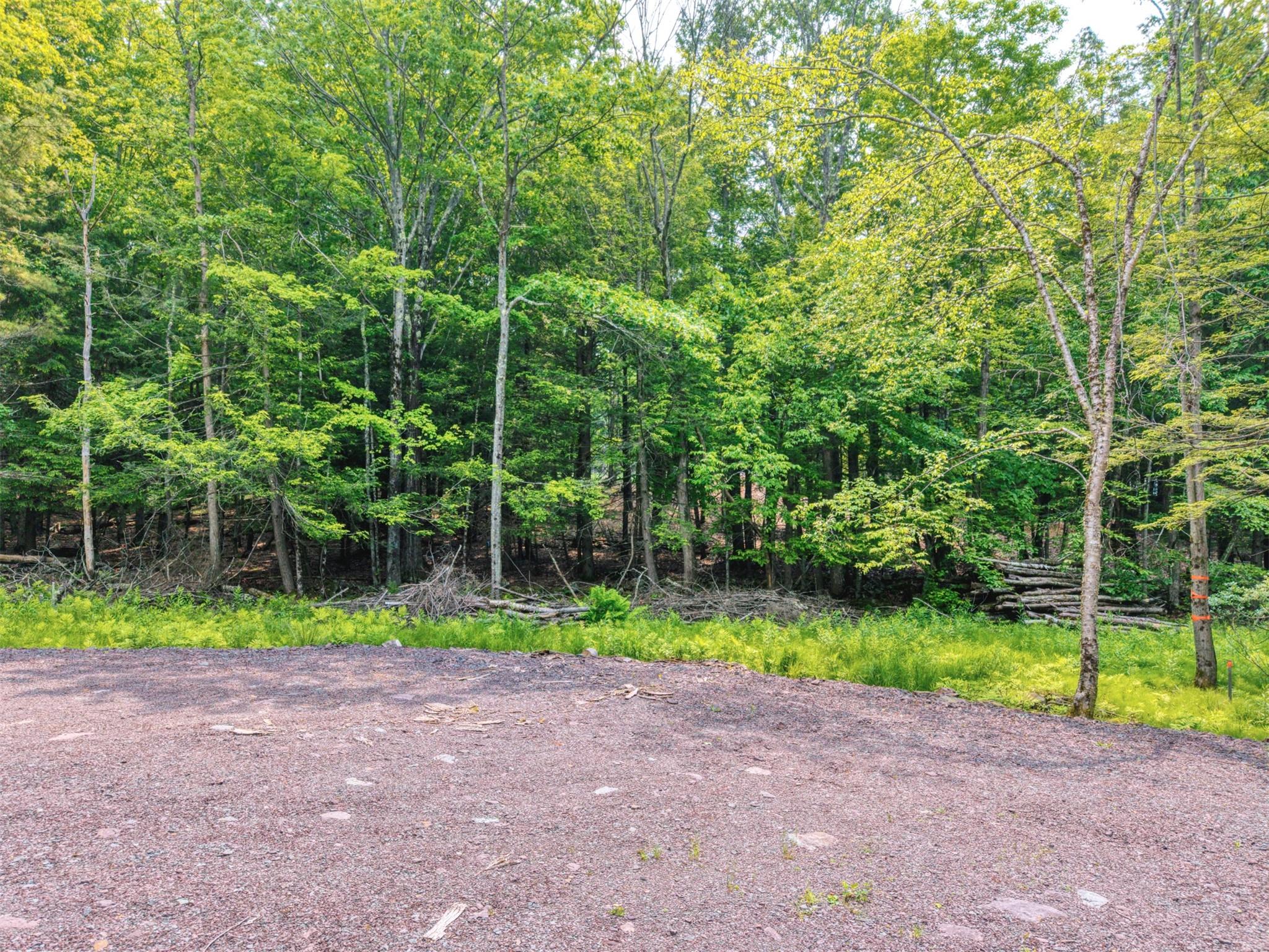TBD Boulder Brook lot 13B Road, Windham, NY 12496