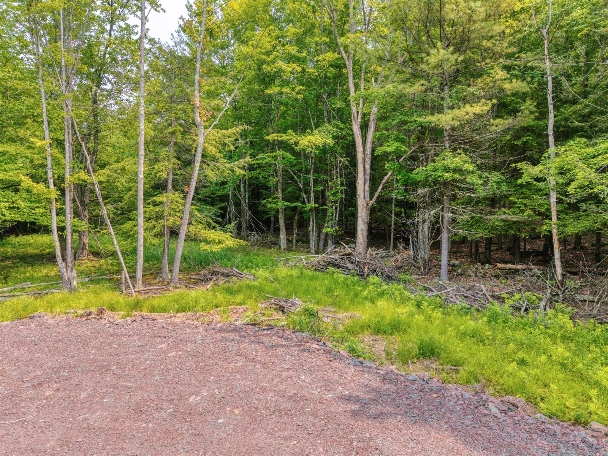 TBD Boulder Brook lot 13B Road, Windham, NY 12496