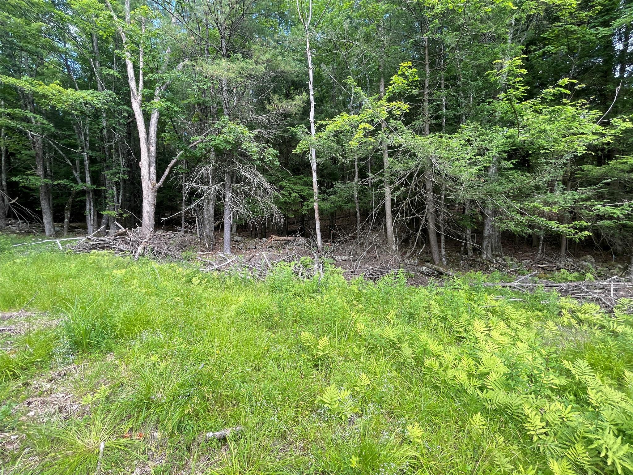 TBD Boulder Brook lot 13B Road, Windham, NY 12496