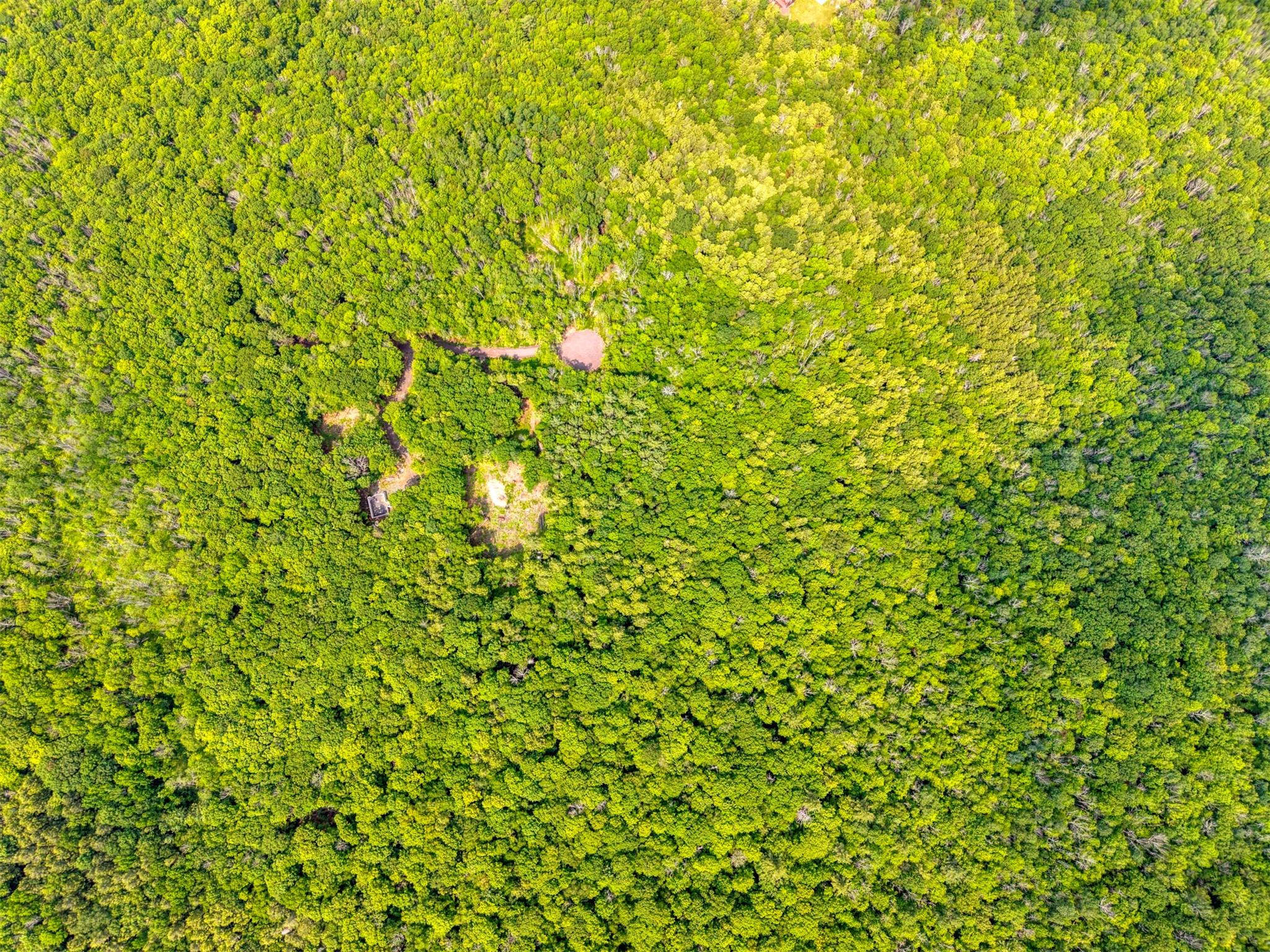 TBD Boulder Brook Lot 11 Road, Windham, NY 12496