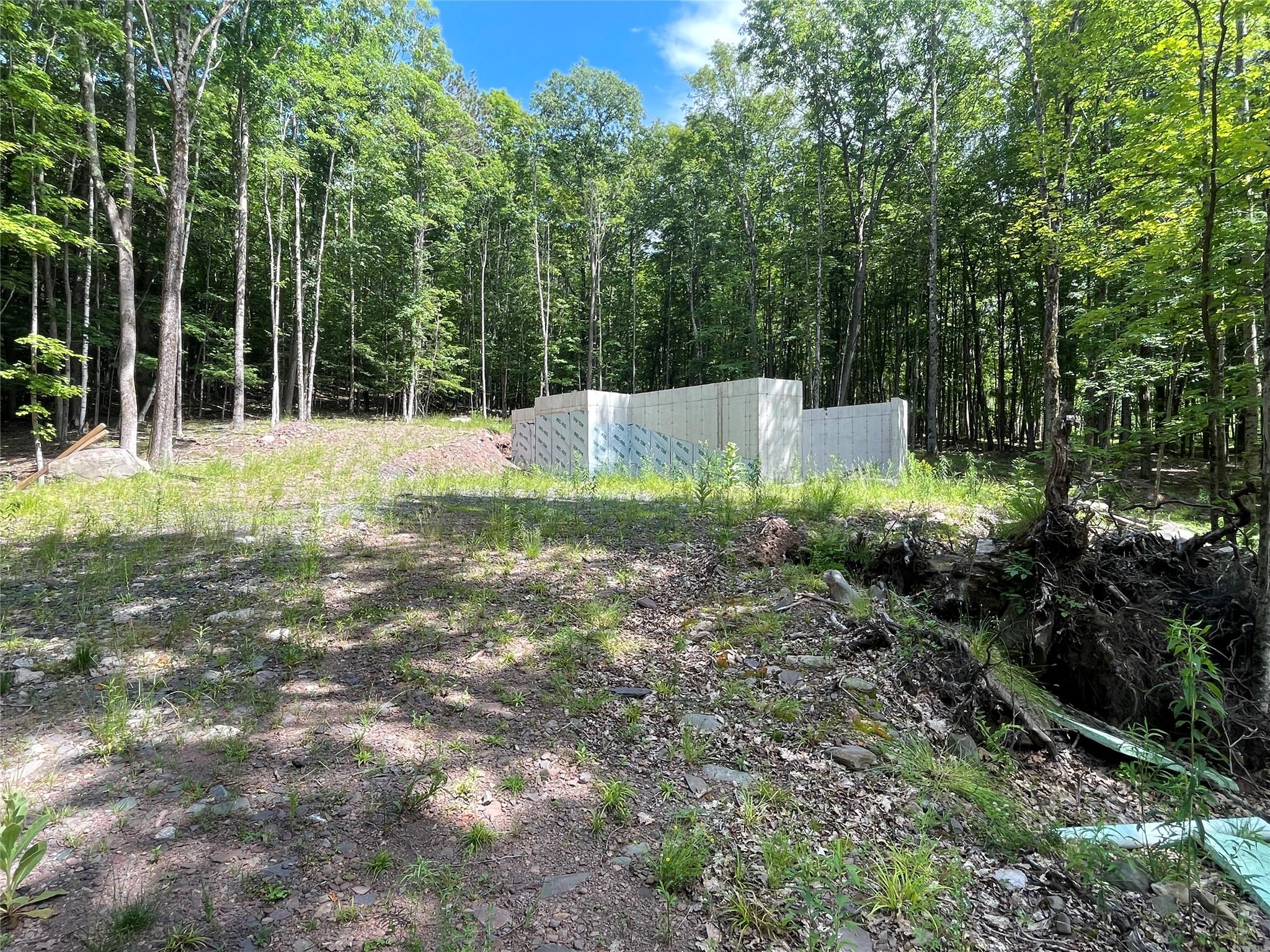TBD Boulder Brook Lot 11 Road, Windham, NY 12496