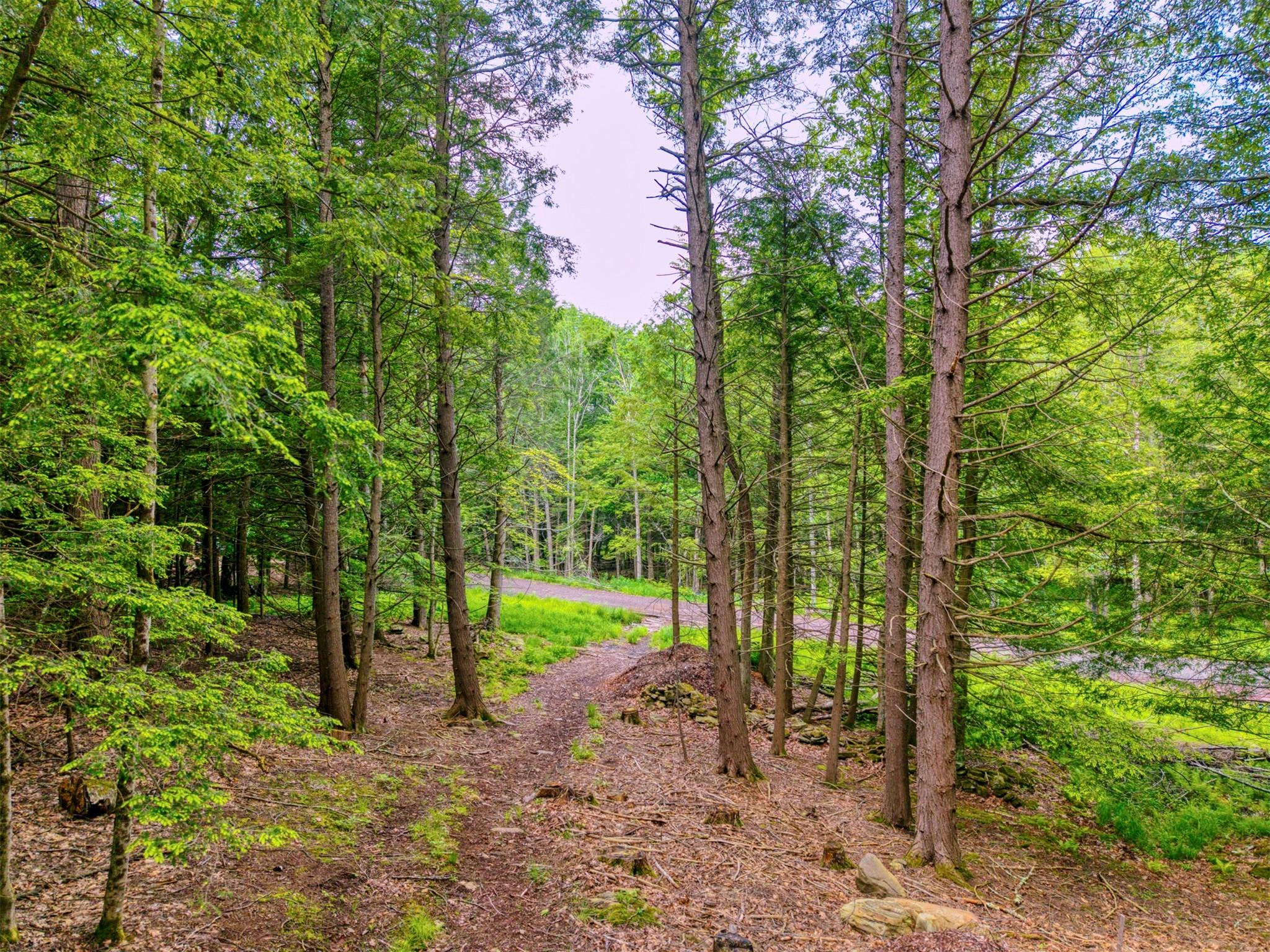 TBD Boulder Brook lots 33-38 Road, Windham, NY 12496