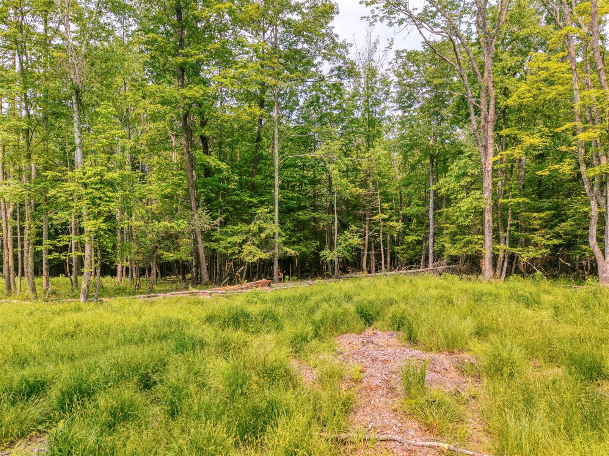 TBD Boulder Brook lots 33-38 Road, Windham, NY 12496