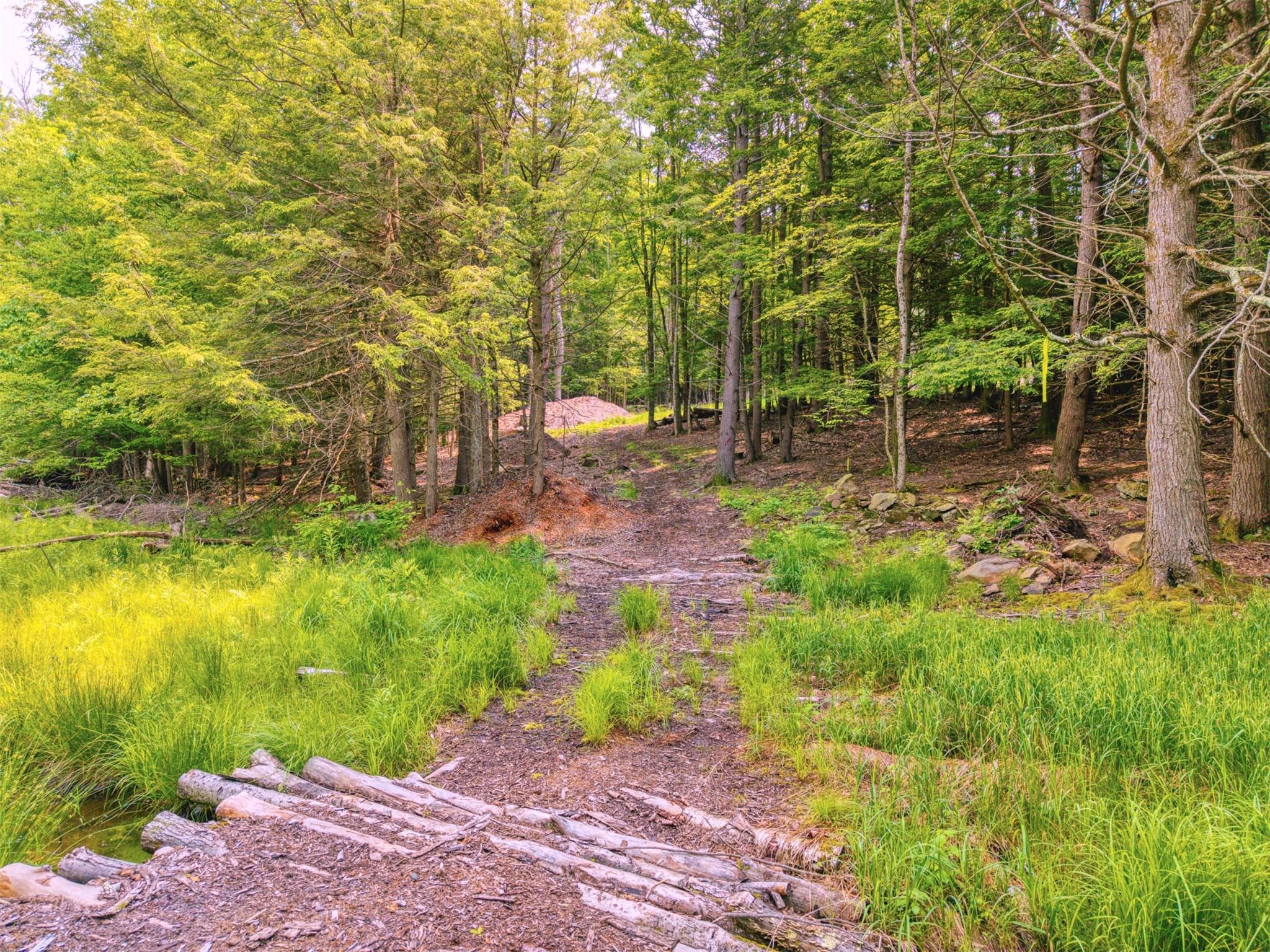 TBD Boulder Brook lots 33-38 Road, Windham, NY 12496