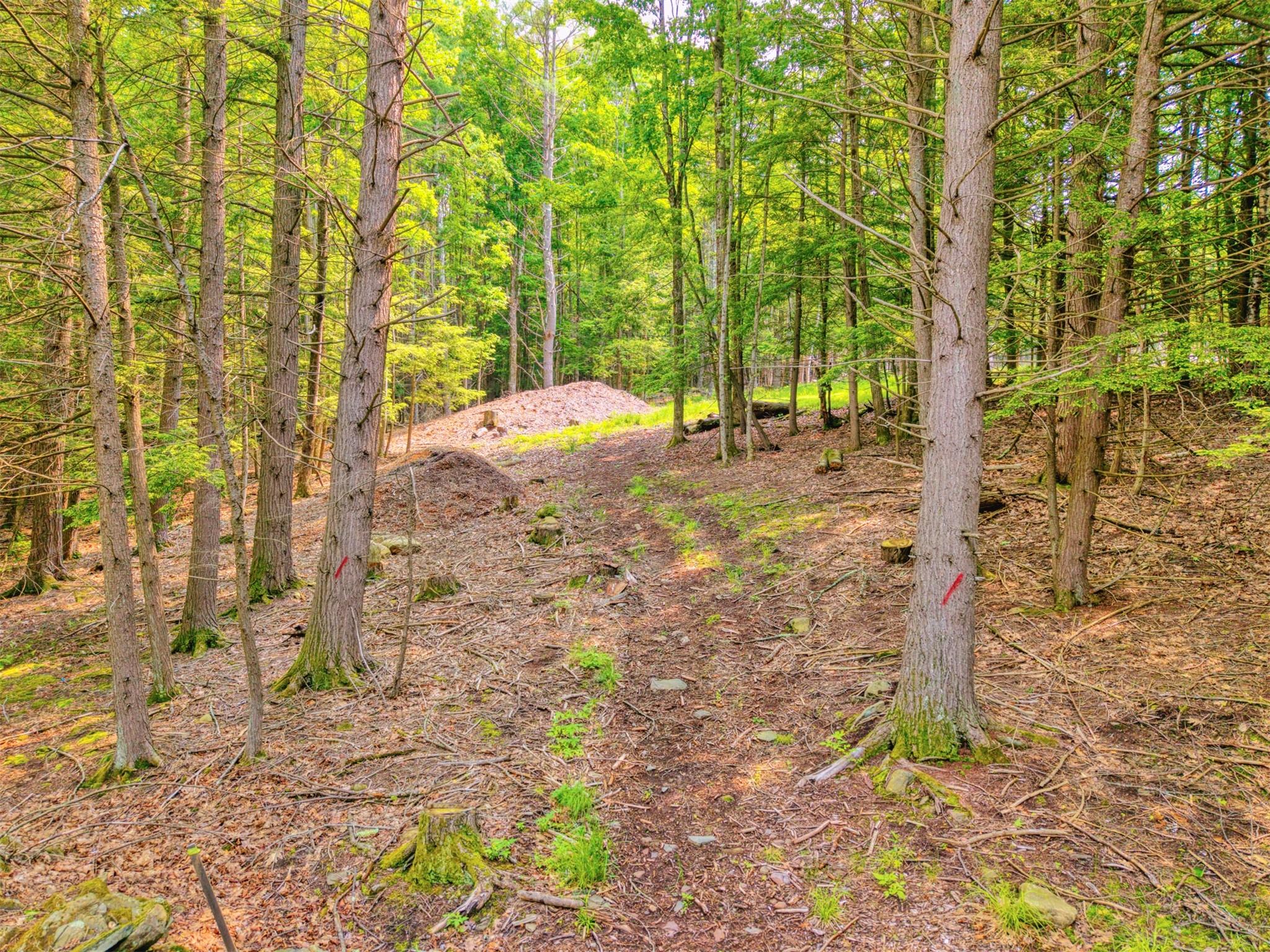 TBD Boulder Brook lots 33-38 Road, Windham, NY 12496