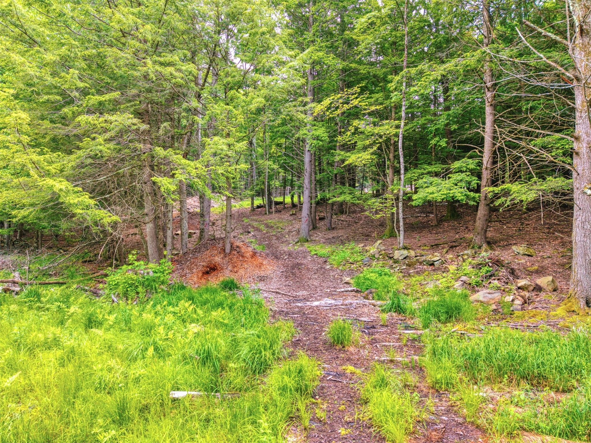 TBD Boulder Brook lots 33-38 Road, Windham, NY 12496