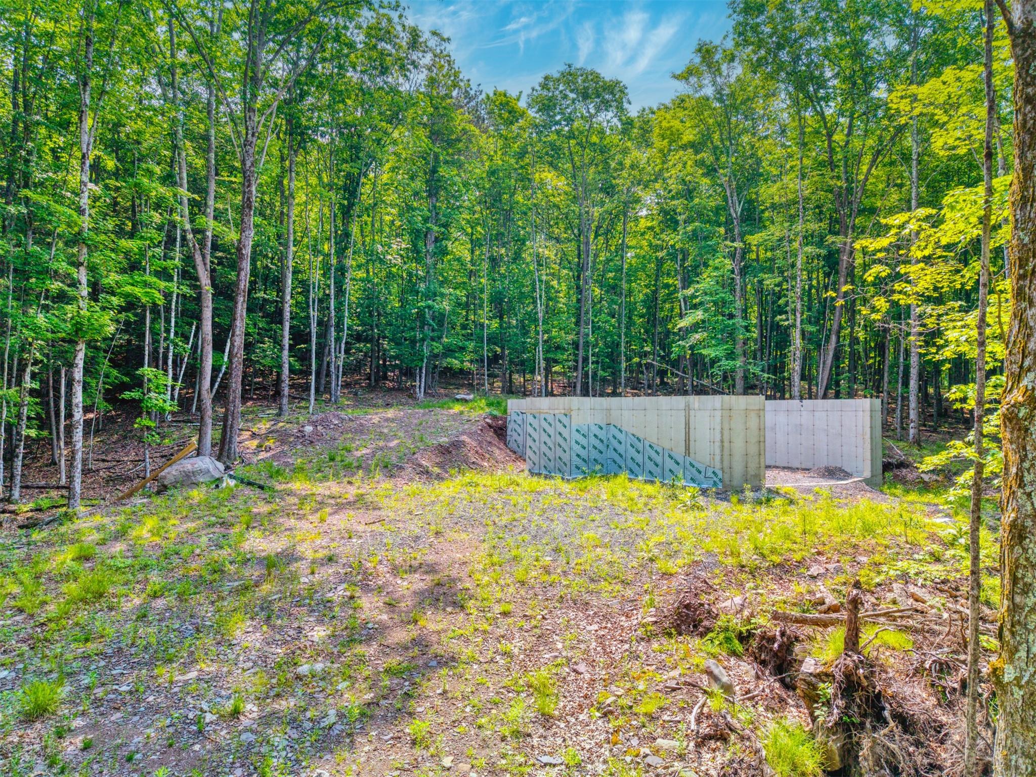 TBD Boulder Brook lots 33-38 Road, Windham, NY 12496