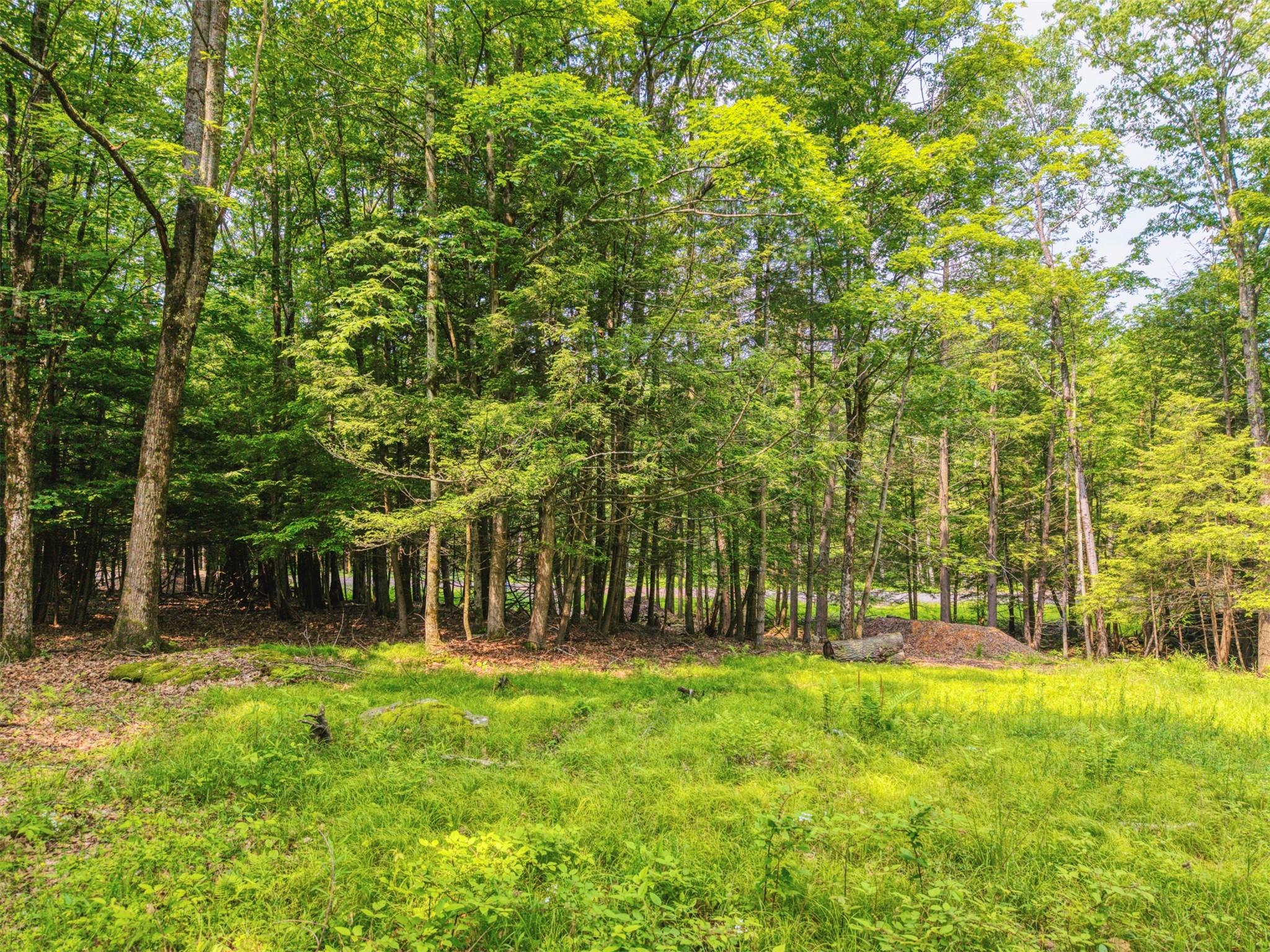 TBD Boulder Brook lots 33-38 Road, Windham, NY 12496