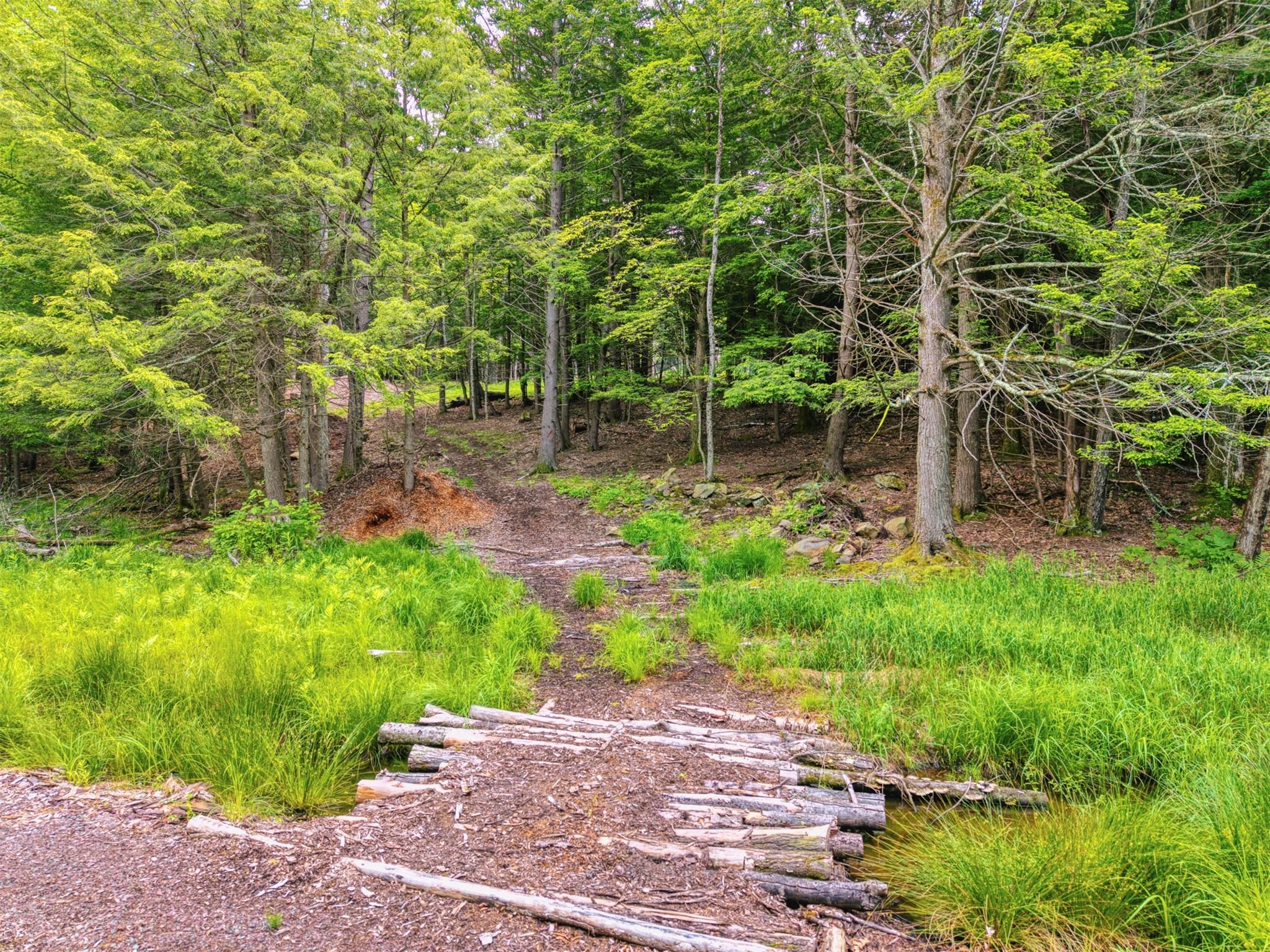TBD Boulder Brook lots 33-38 Road, Windham, NY 12496