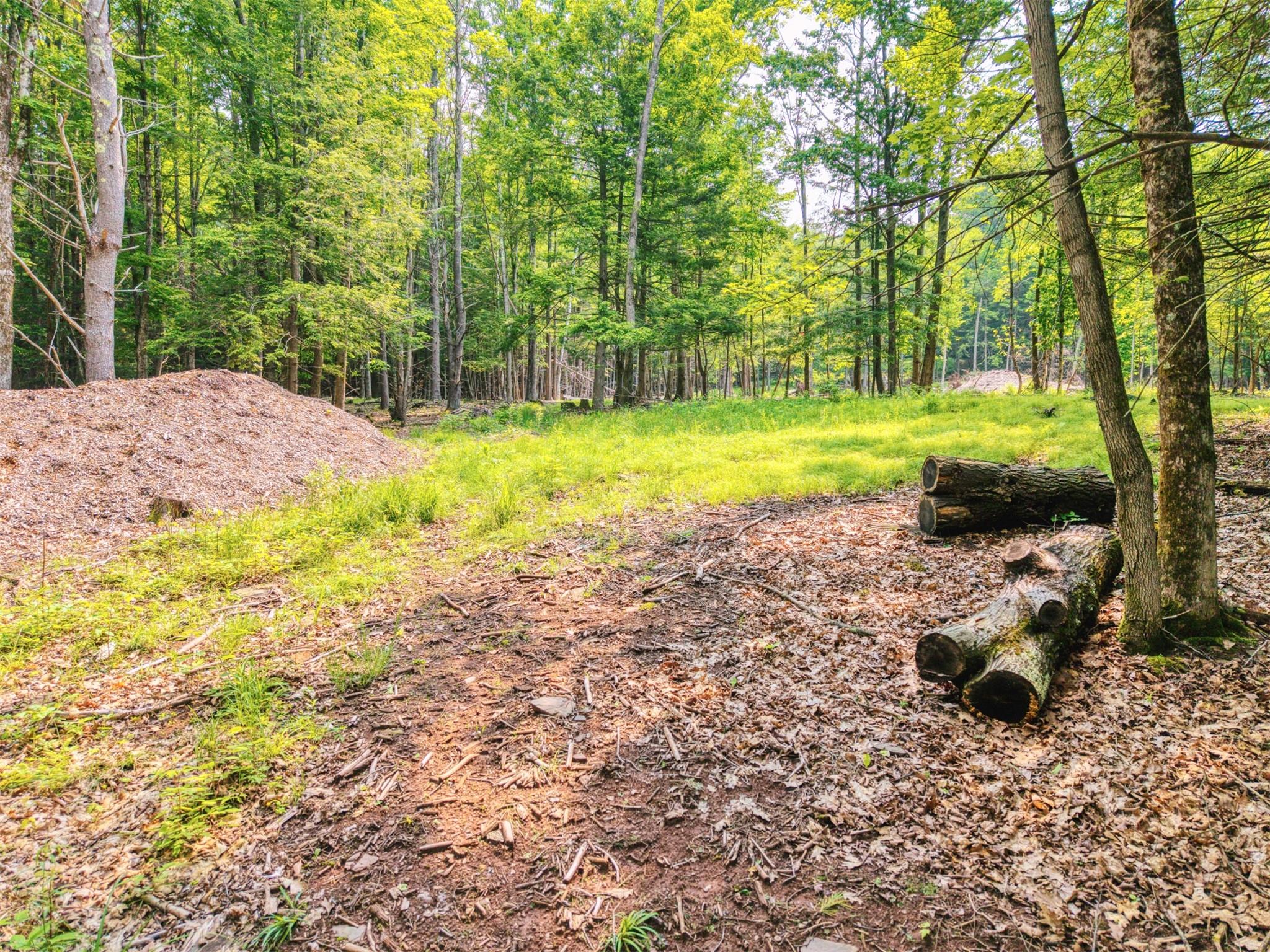TBD Boulder Brook lots 33-38 Road, Windham, NY 12496