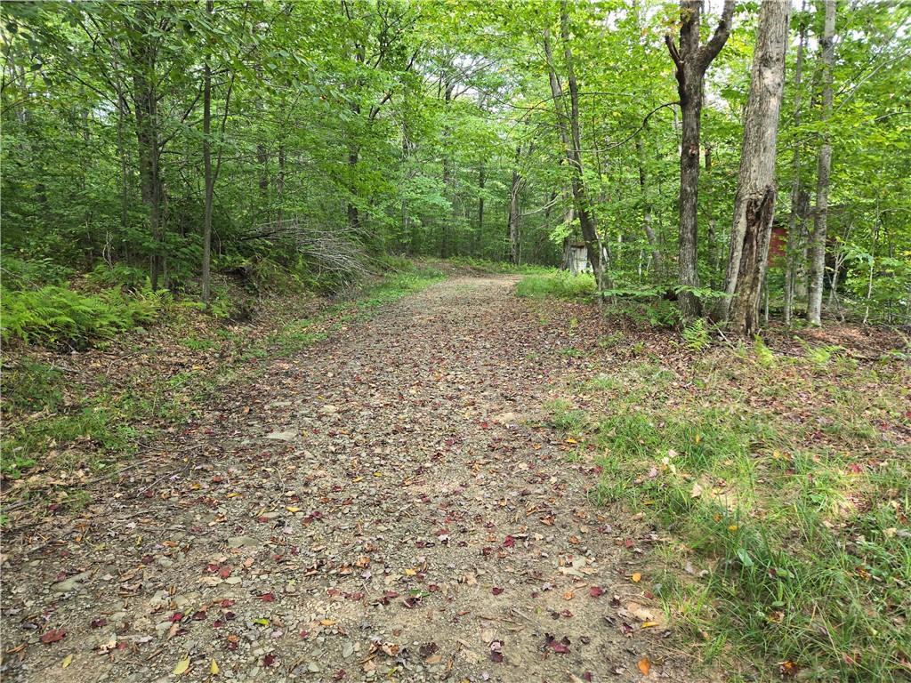 646 Dufton Hollow Road, Hancock, NY 13783