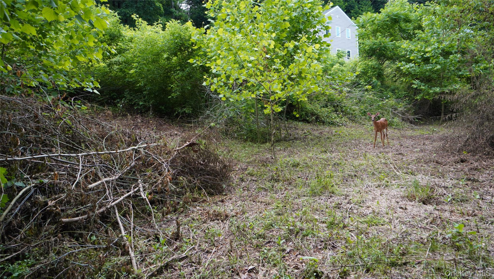 269-291 Abeel Street, Kingston, NY 12401