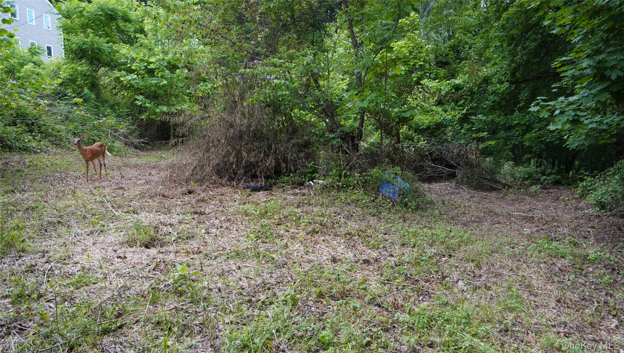 269-291 Abeel Street, Kingston, NY 12401