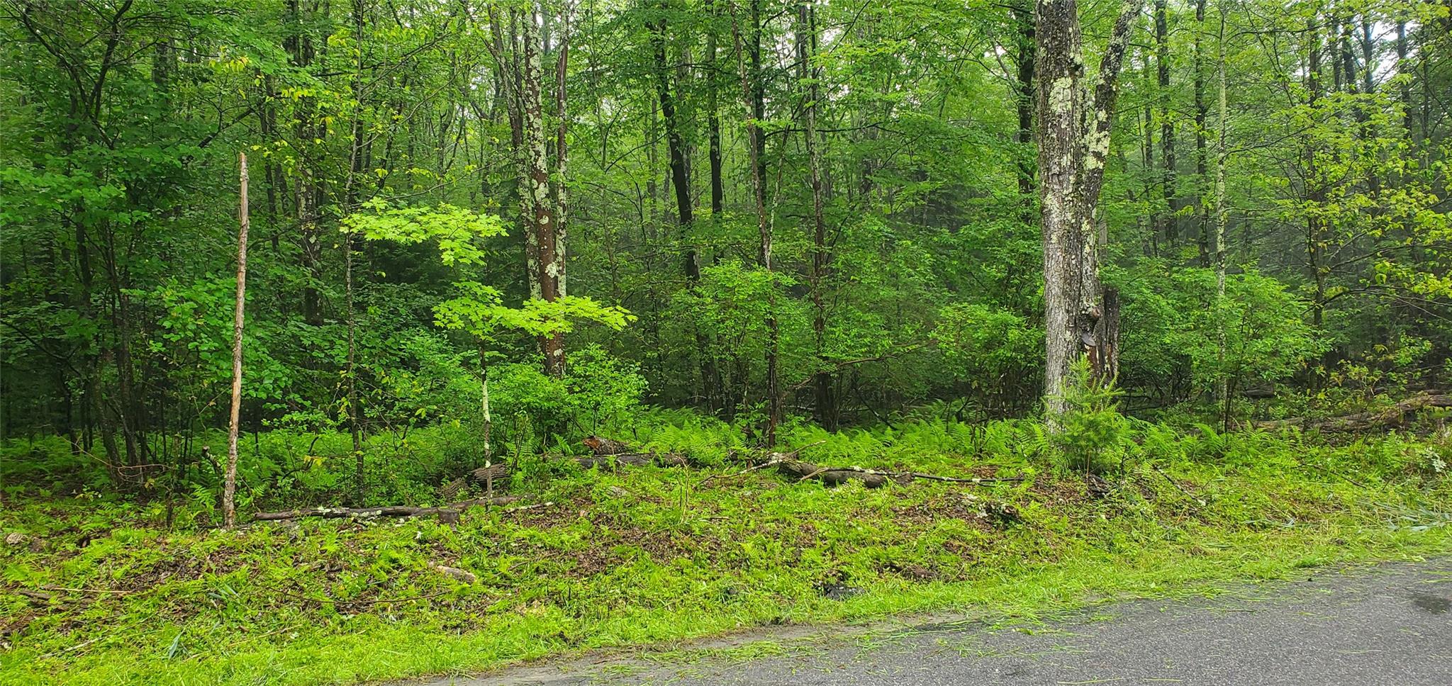 Tr 105 Cypert Road, Fallsburg, NY 12733