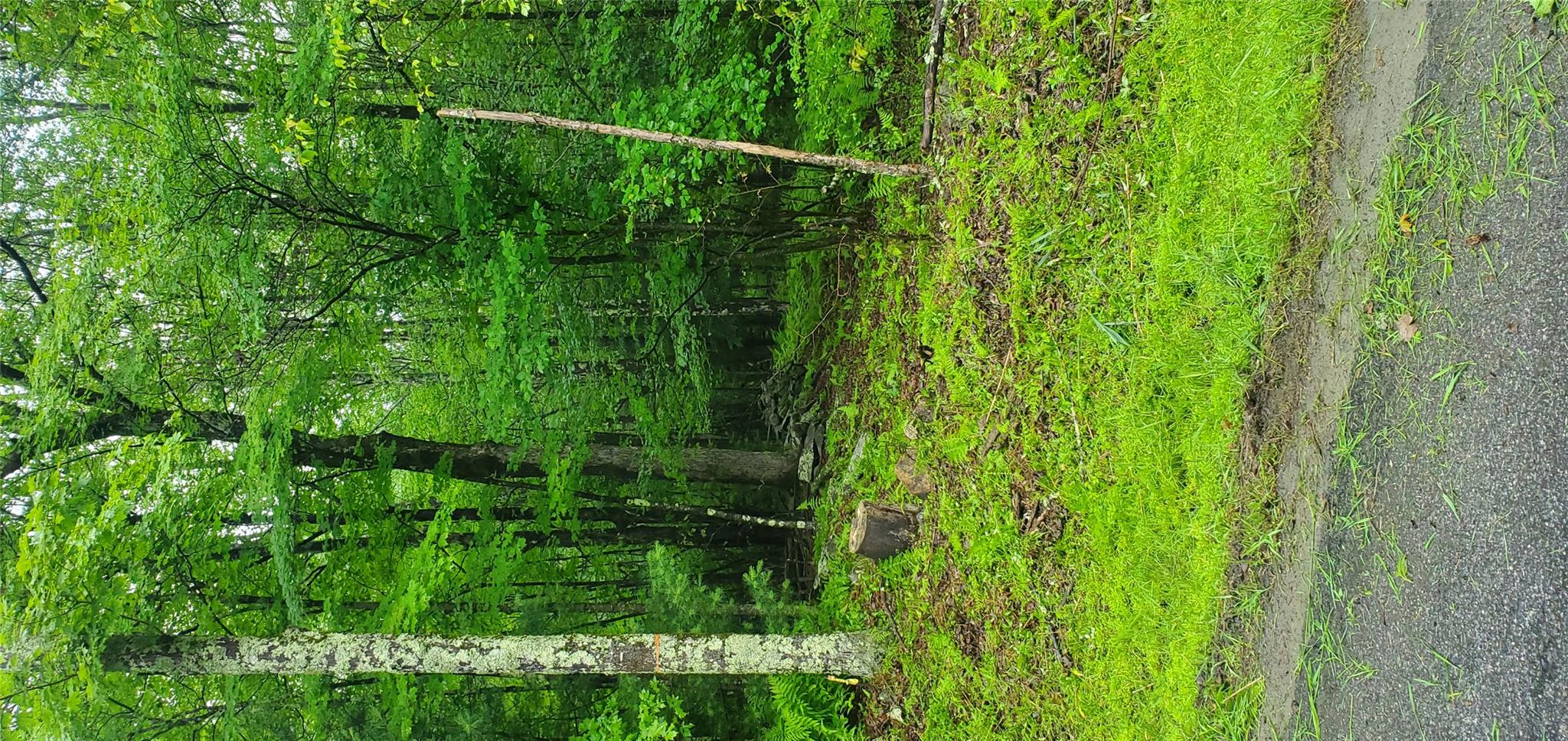 Tr 105 Cypert Road, Fallsburg, NY 12733