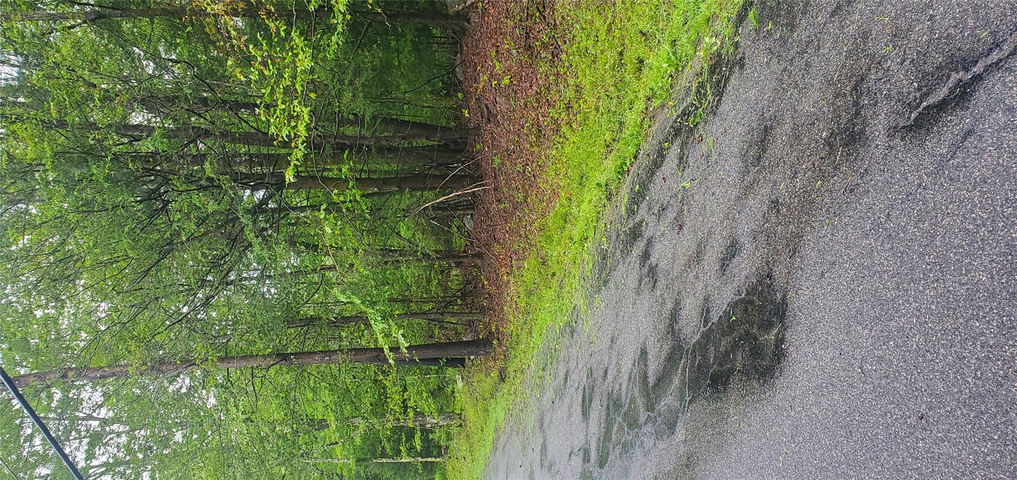 Tr 105 Cypert Road, Fallsburg, NY 12733