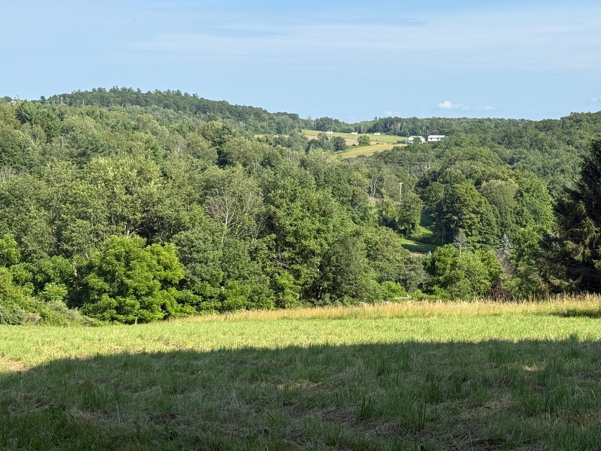 Smithfield Road, Millerton, NY 12546