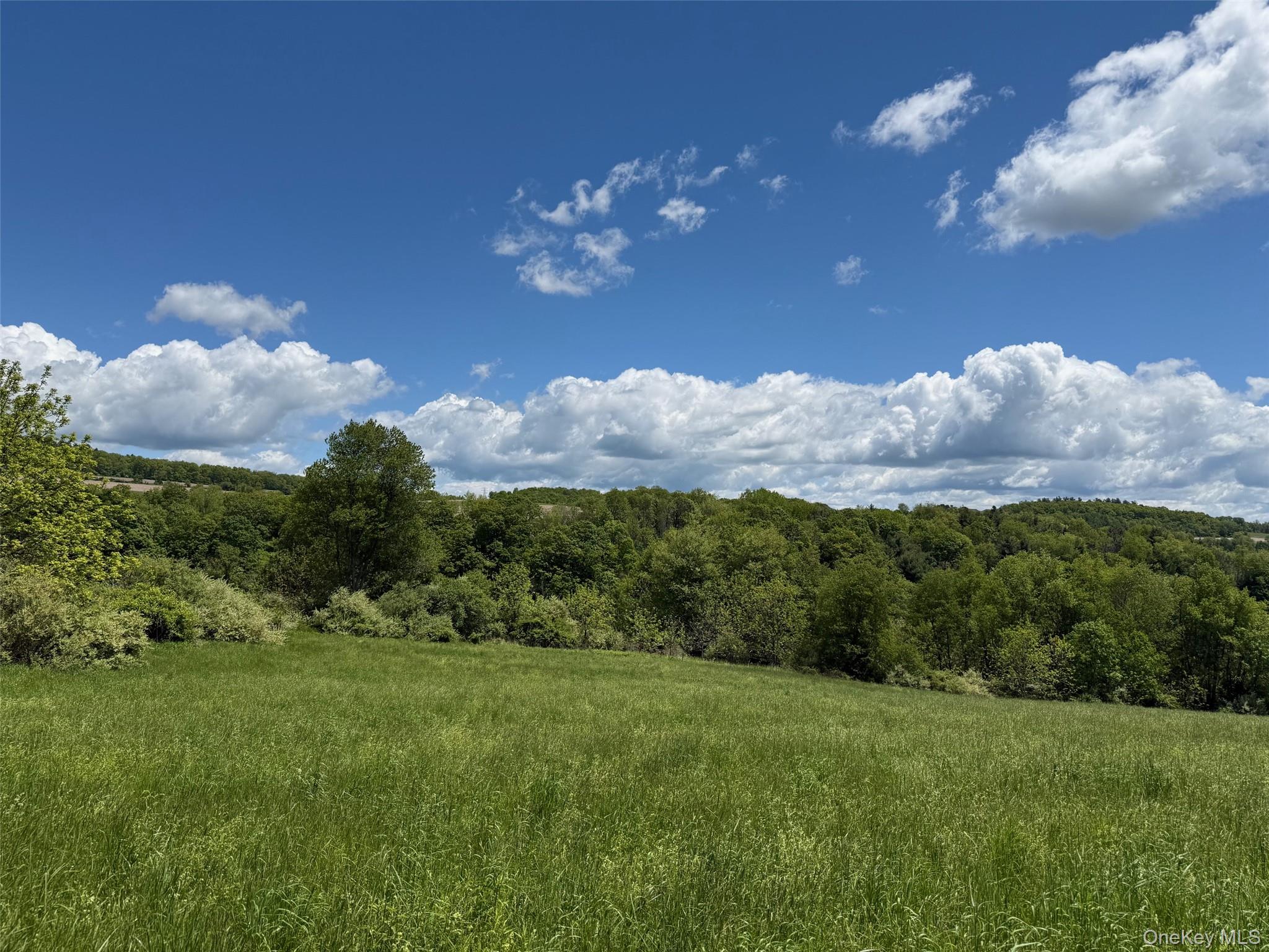 Smithfield Road, Millerton, NY 12546