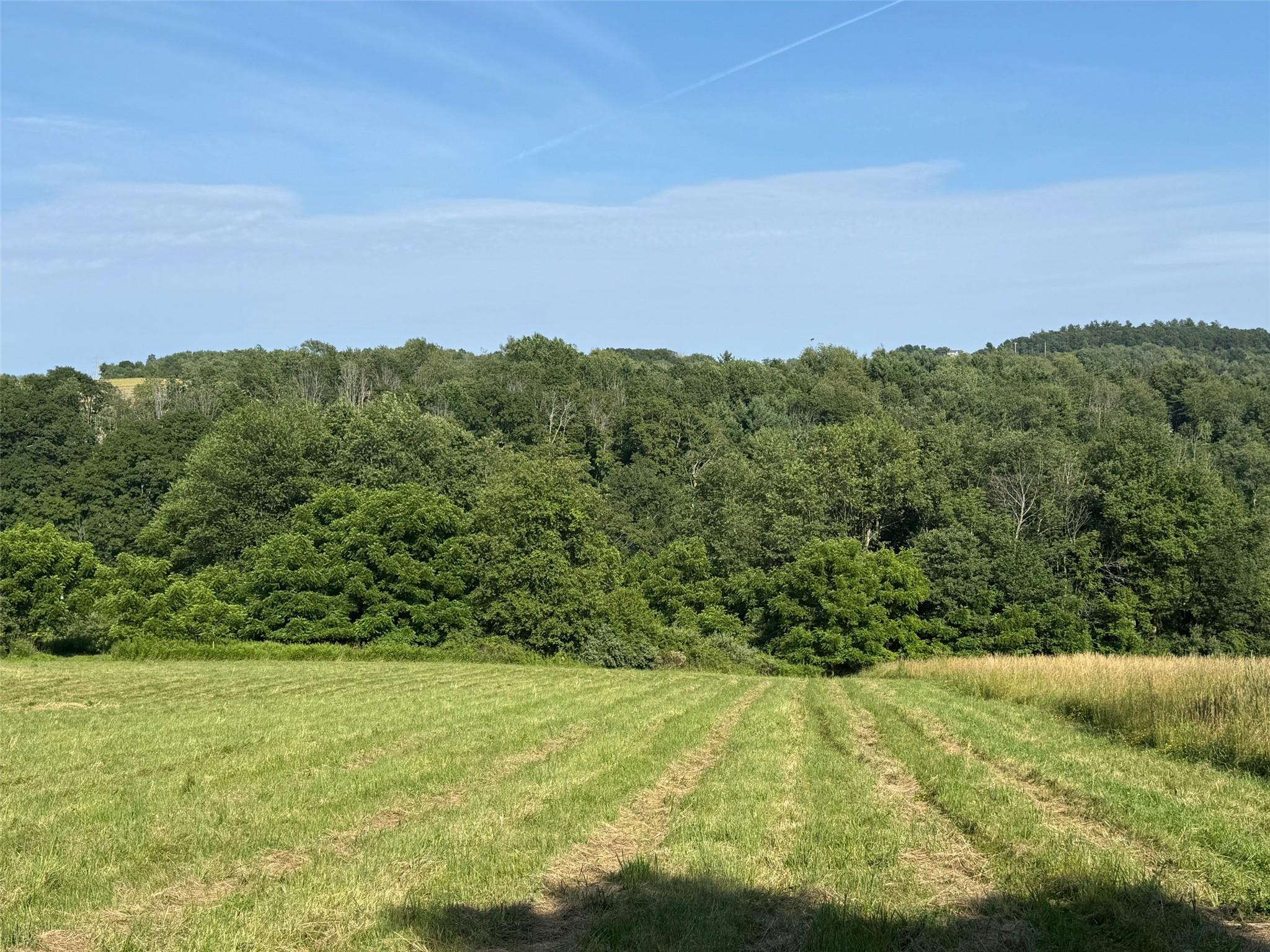 Smithfield Road, Millerton, NY 12546