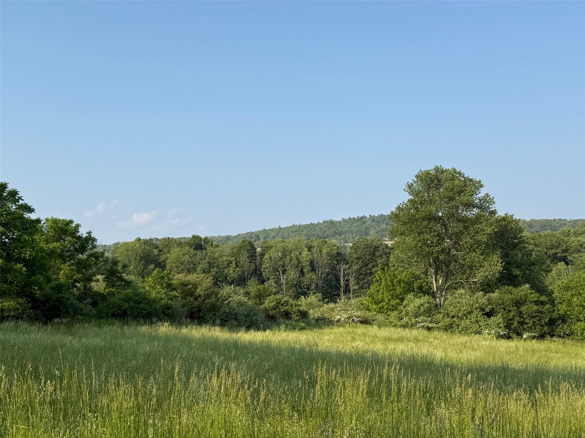 Smithfield Road, Millerton, NY 12546