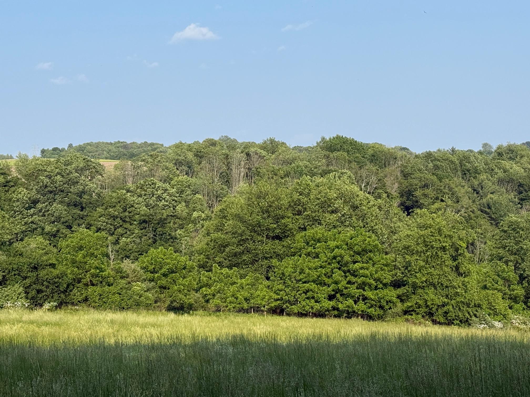 Smithfield Road, Millerton, NY 12546