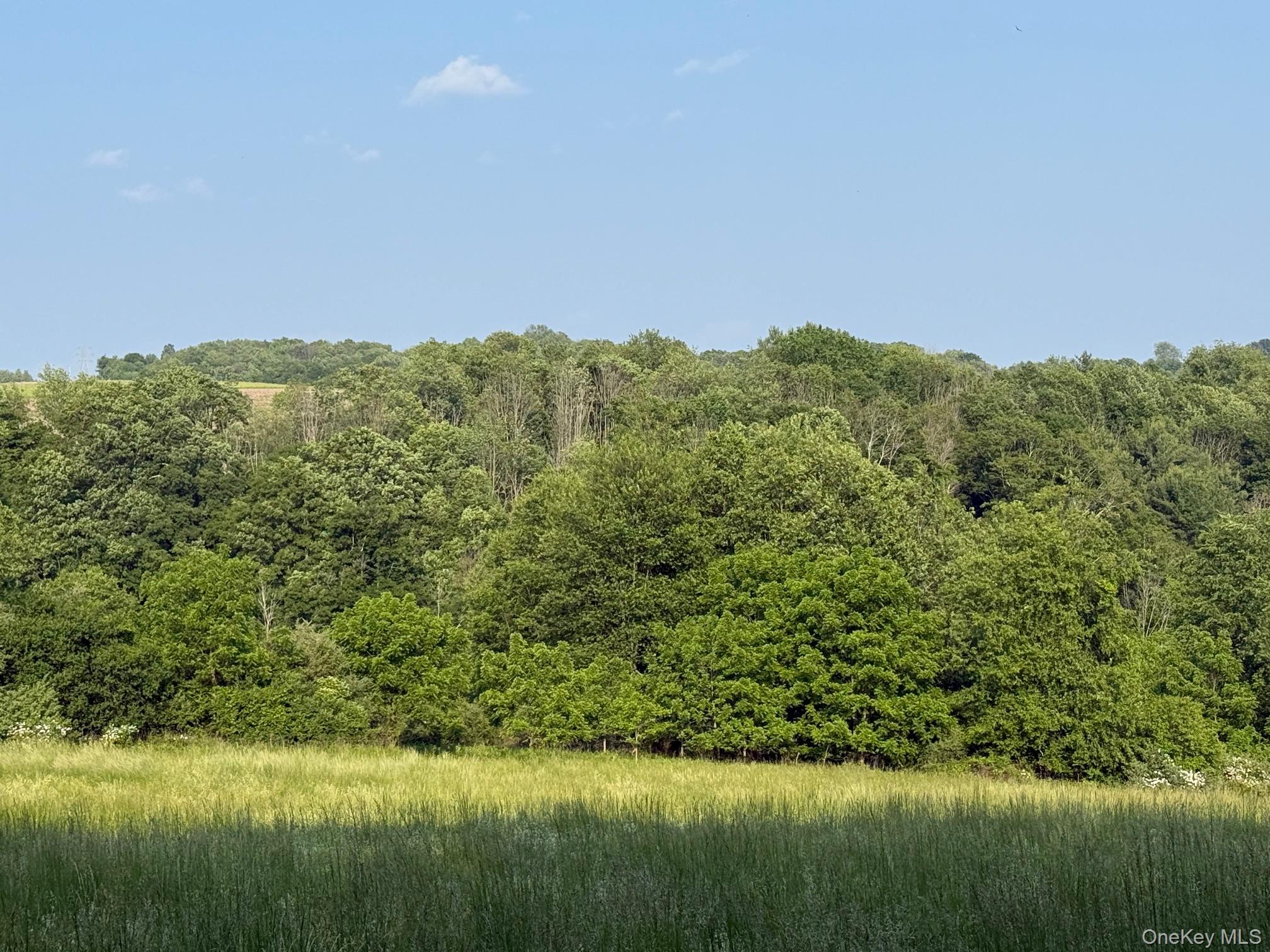 Smithfield Road, Millerton, NY 12546