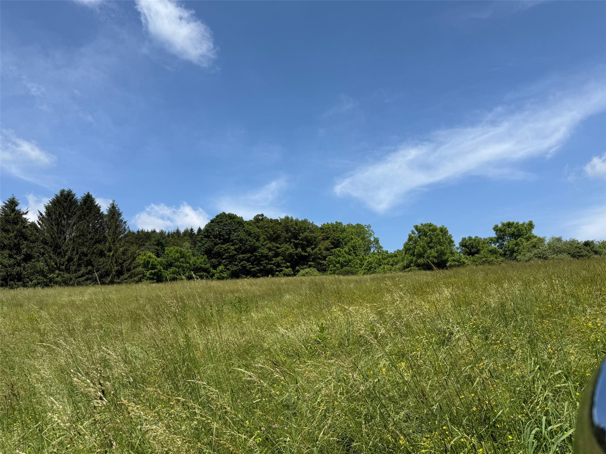 Smithfield Road, Millerton, NY 12546