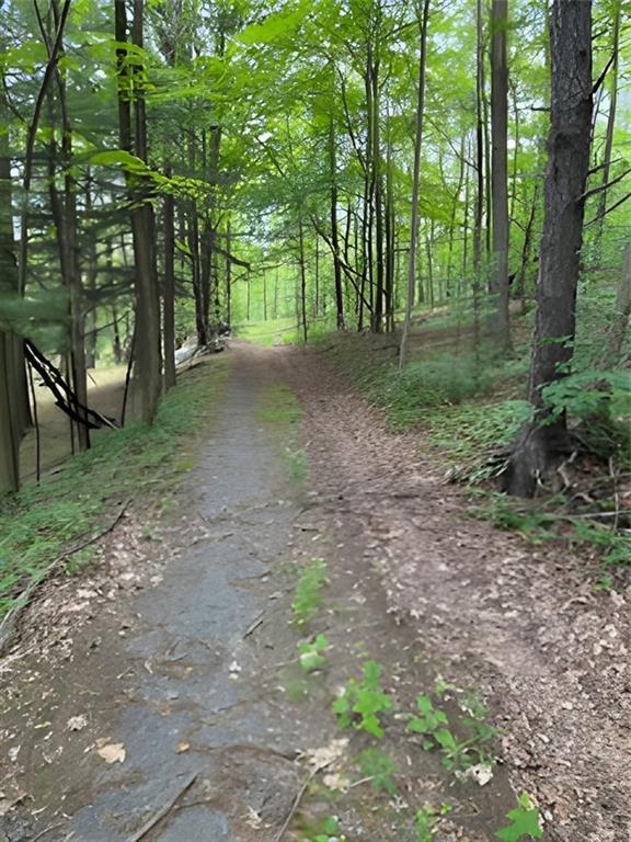 Gardner Drive, Port Jervis, NY 12771