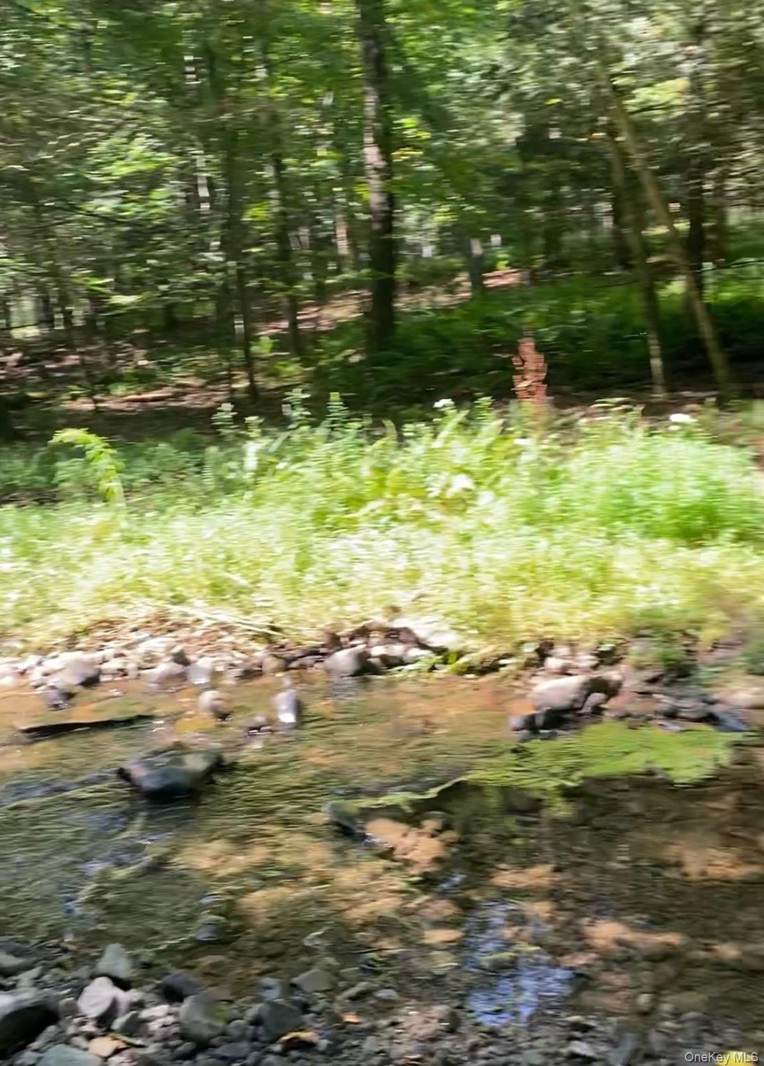 Hessinger Lare Road, Youngsville, NY 12791