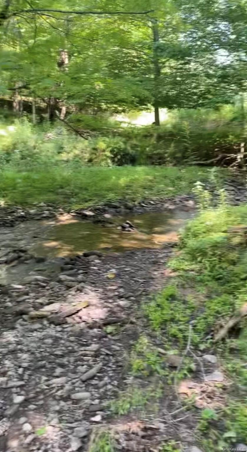 Hessinger Lare Road, Youngsville, NY 12791