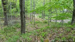 Hessinger Lare Road, Youngsville, NY 12791