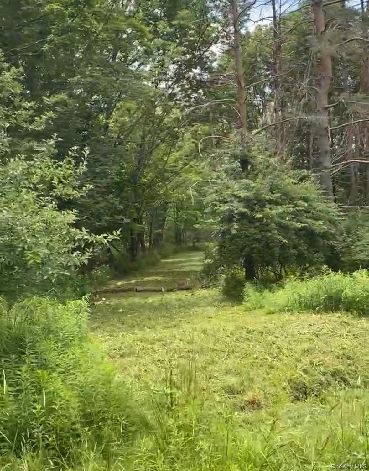 Hessinger Lare Road, Youngsville, NY 12791