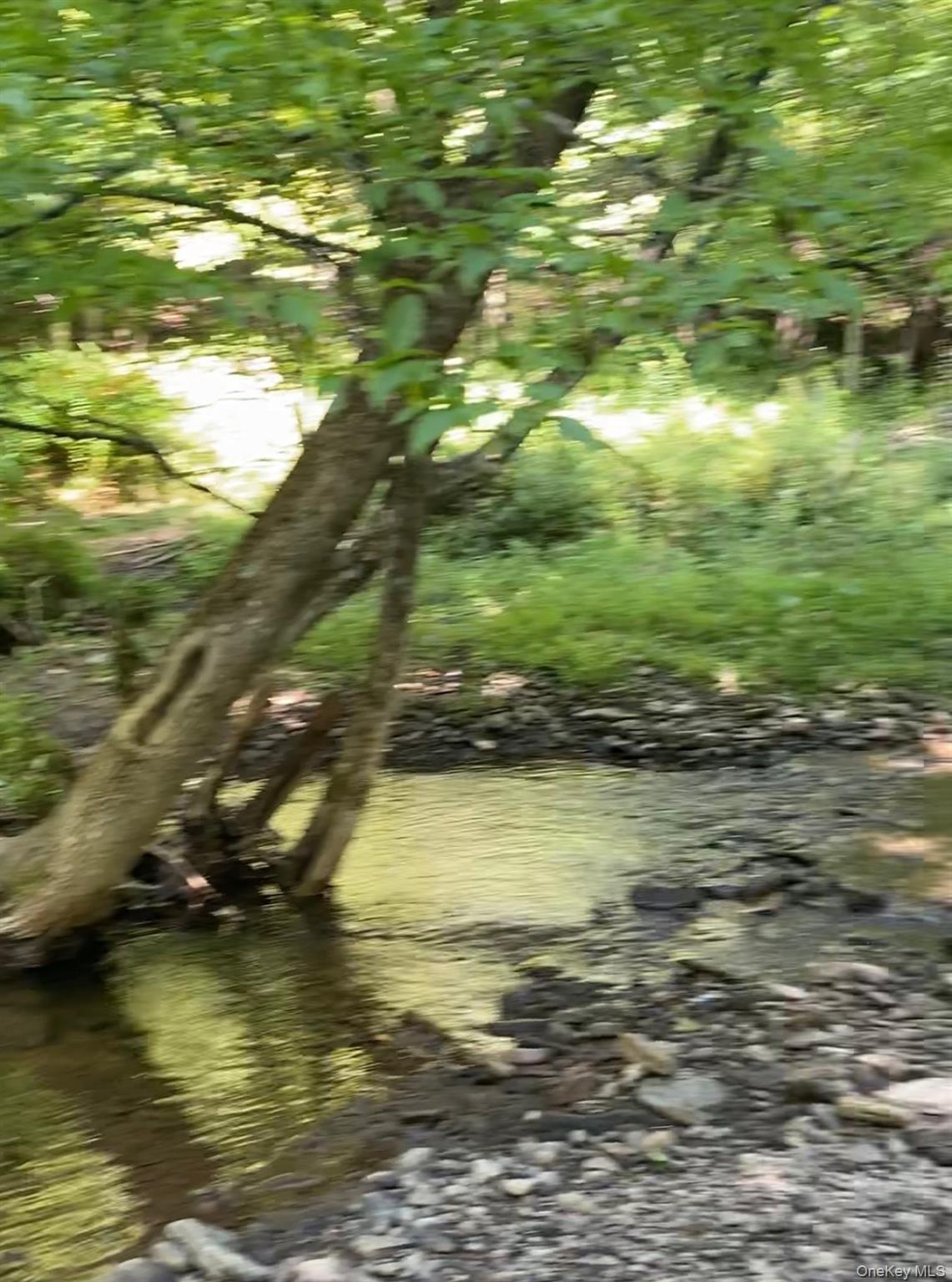 Hessinger Lare Road, Youngsville, NY 12791