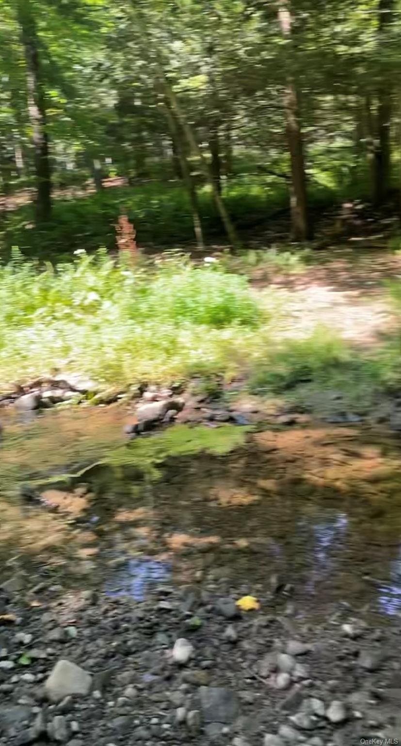 Hessinger Lare Road, Youngsville, NY 12791