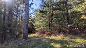 Hessinger Lare Road, Youngsville, NY 12791
