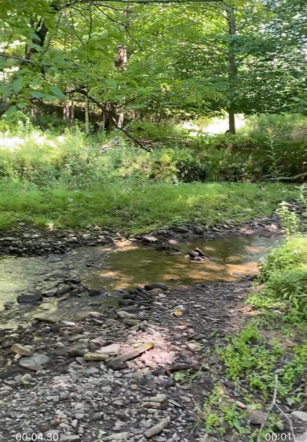 Hessinger Lare Road, Youngsville, NY 12791