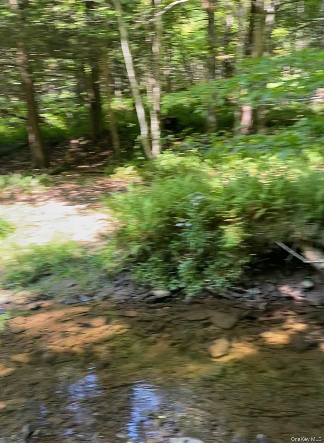 Hessinger Lare Road, Youngsville, NY 12791