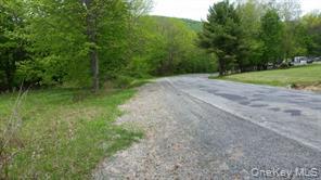 Hessinger Lare Road, Youngsville, NY 12791