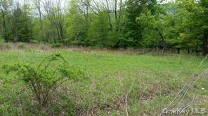 Hessinger Lare Road, Youngsville, NY 12791