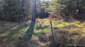 Hessinger Lare Road, Youngsville, NY 12791