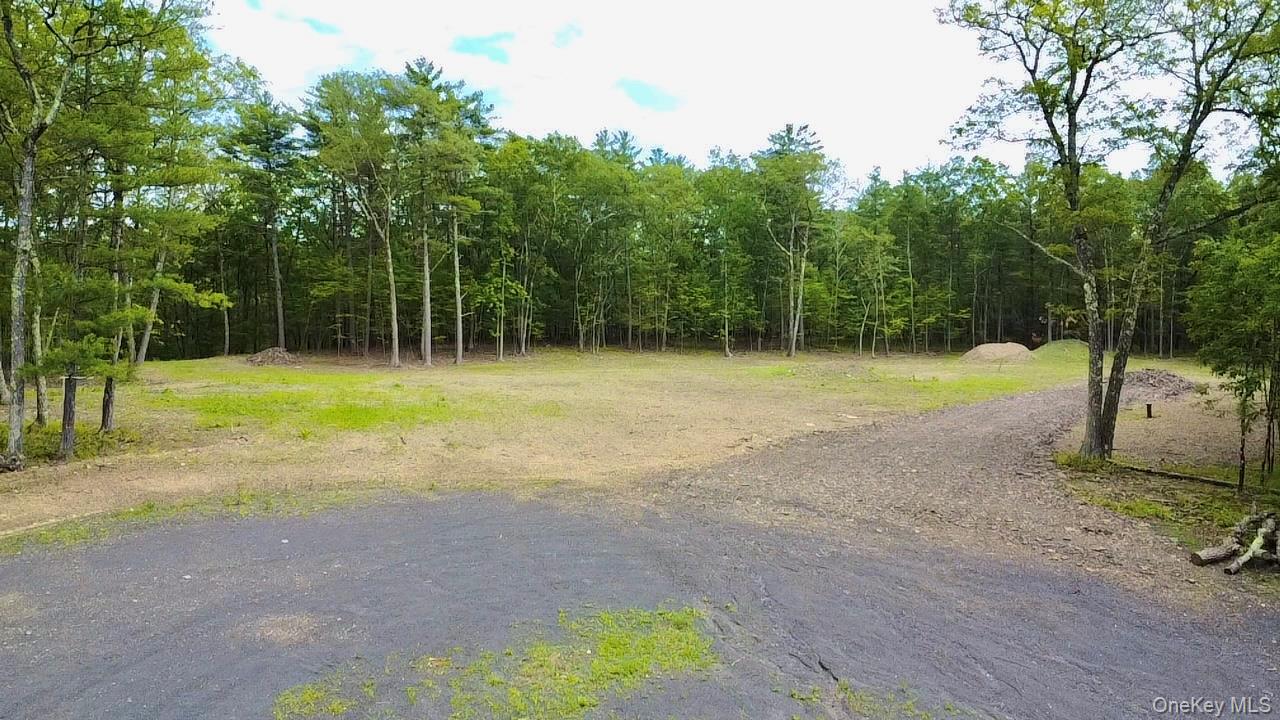 11 Rock Hill Road, Earlton, NY 12051