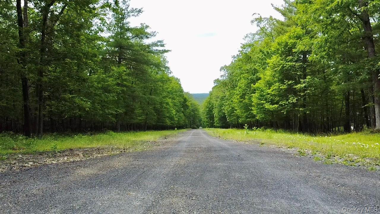 11 Rock Hill Road, Earlton, NY 12051