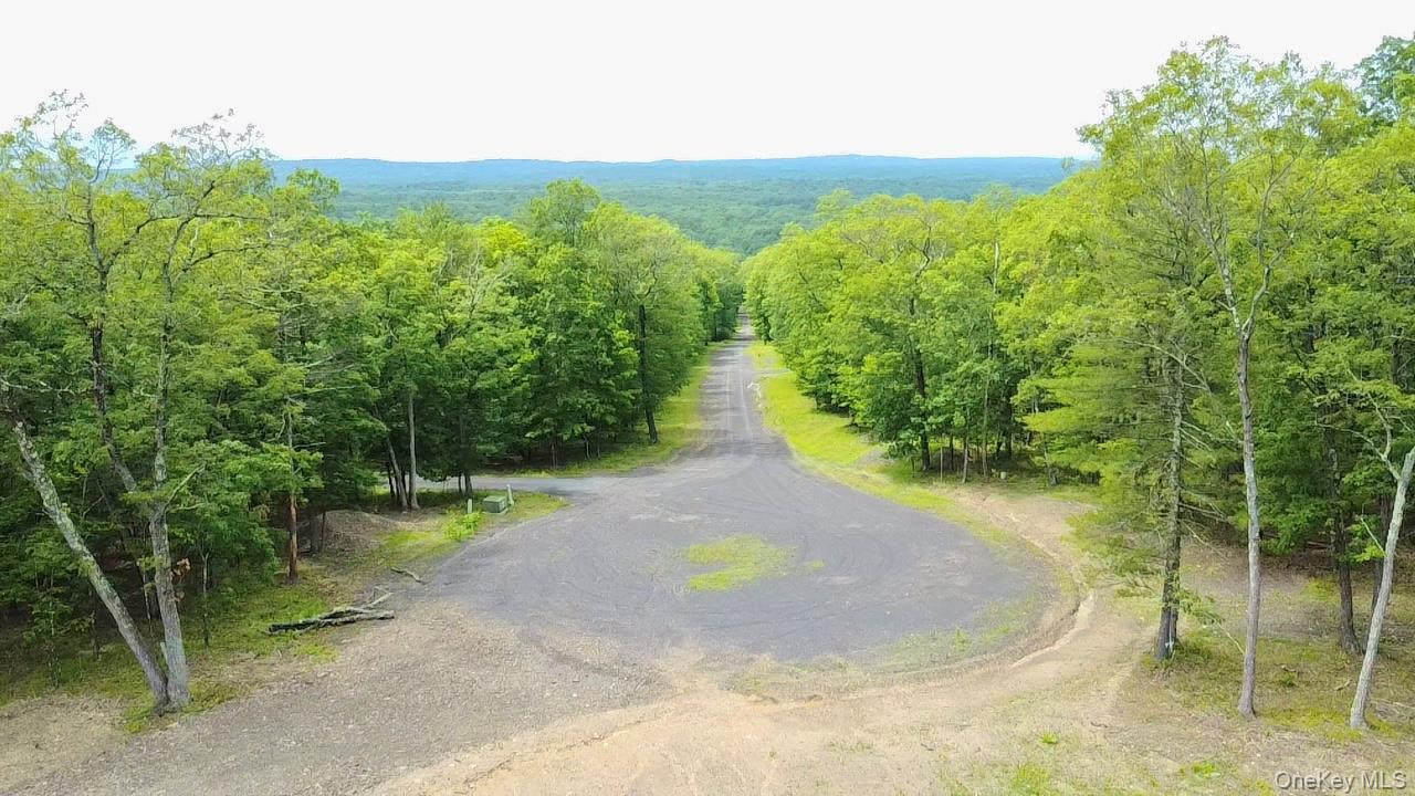 11 Rock Hill Road, Earlton, NY 12051