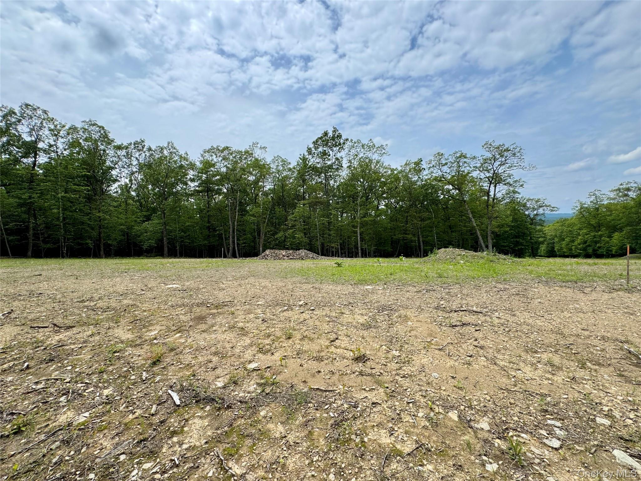 11 Rock Hill Road, Earlton, NY 12051