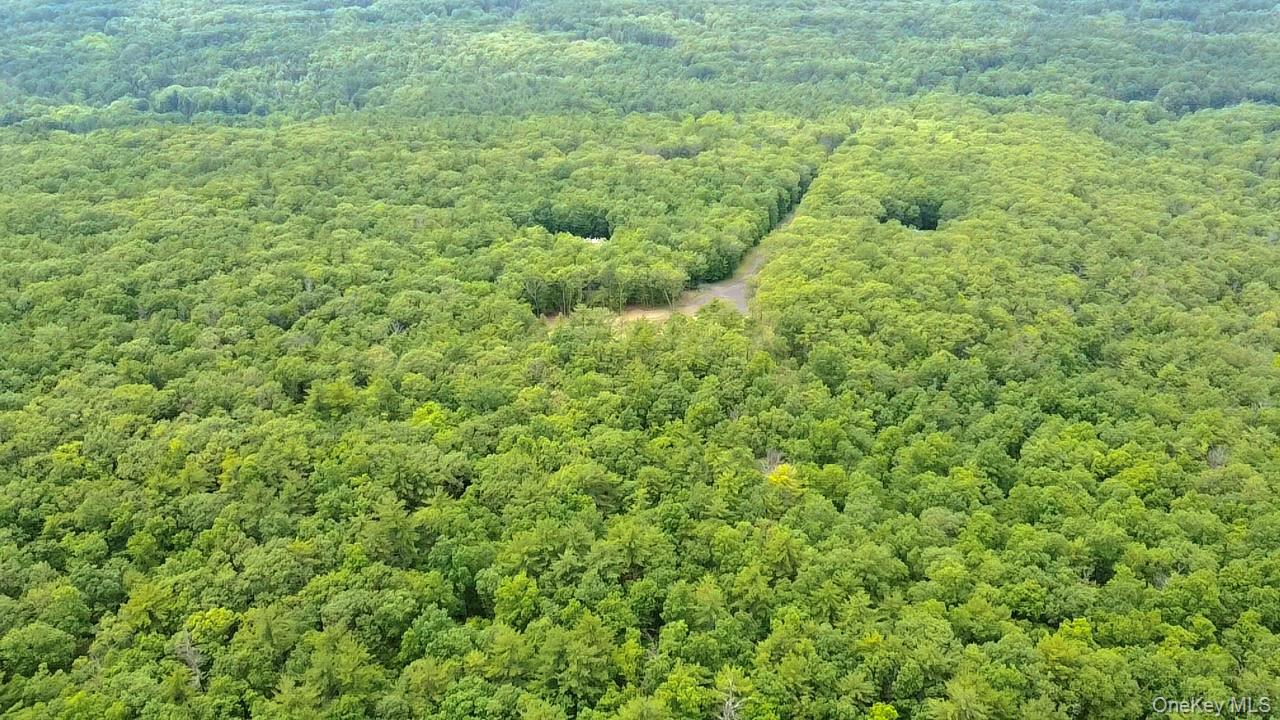 11 Rock Hill Road, Earlton, NY 12051