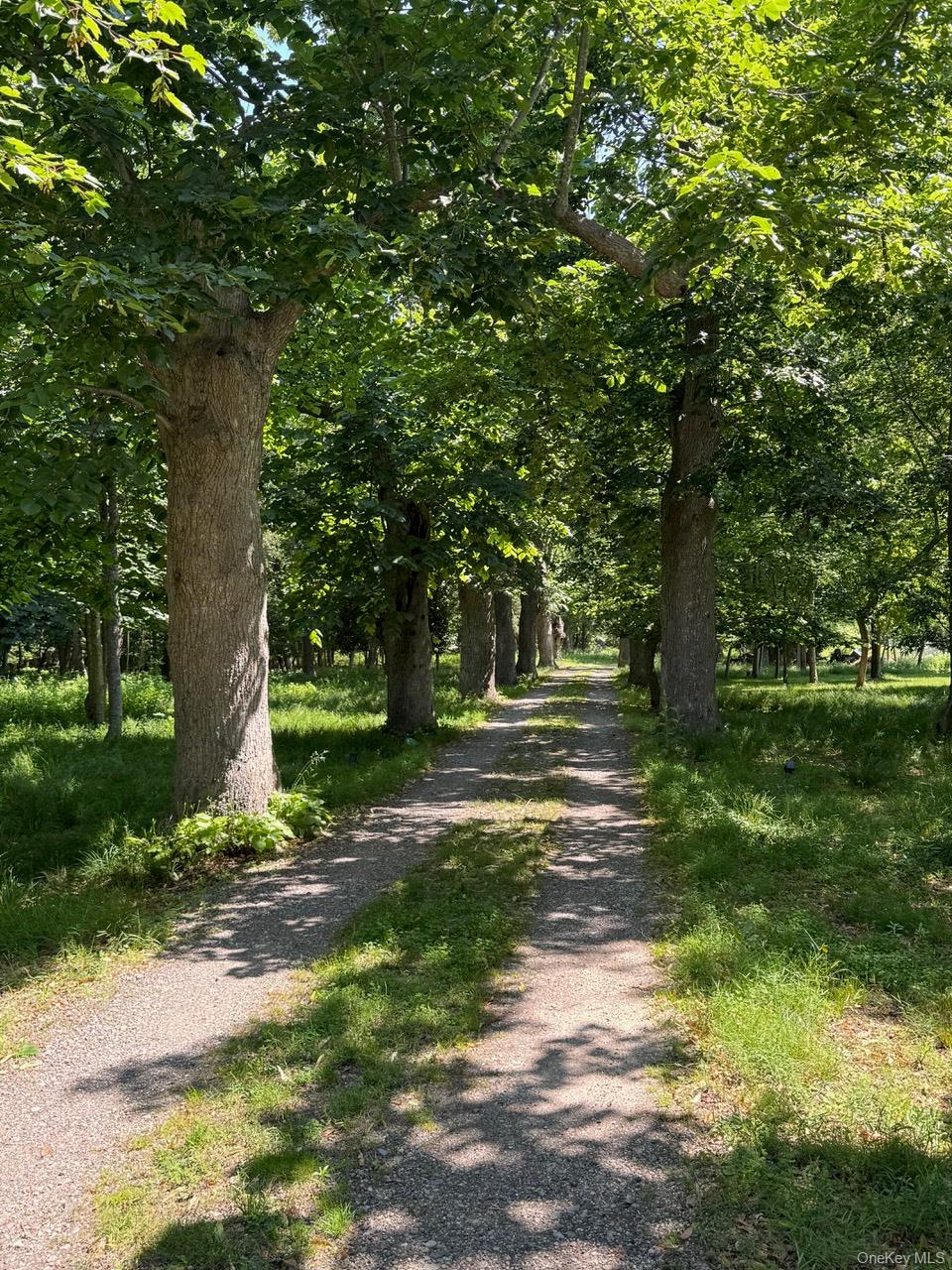 34 Old Neck Road S, Center Moriches, NY 11934